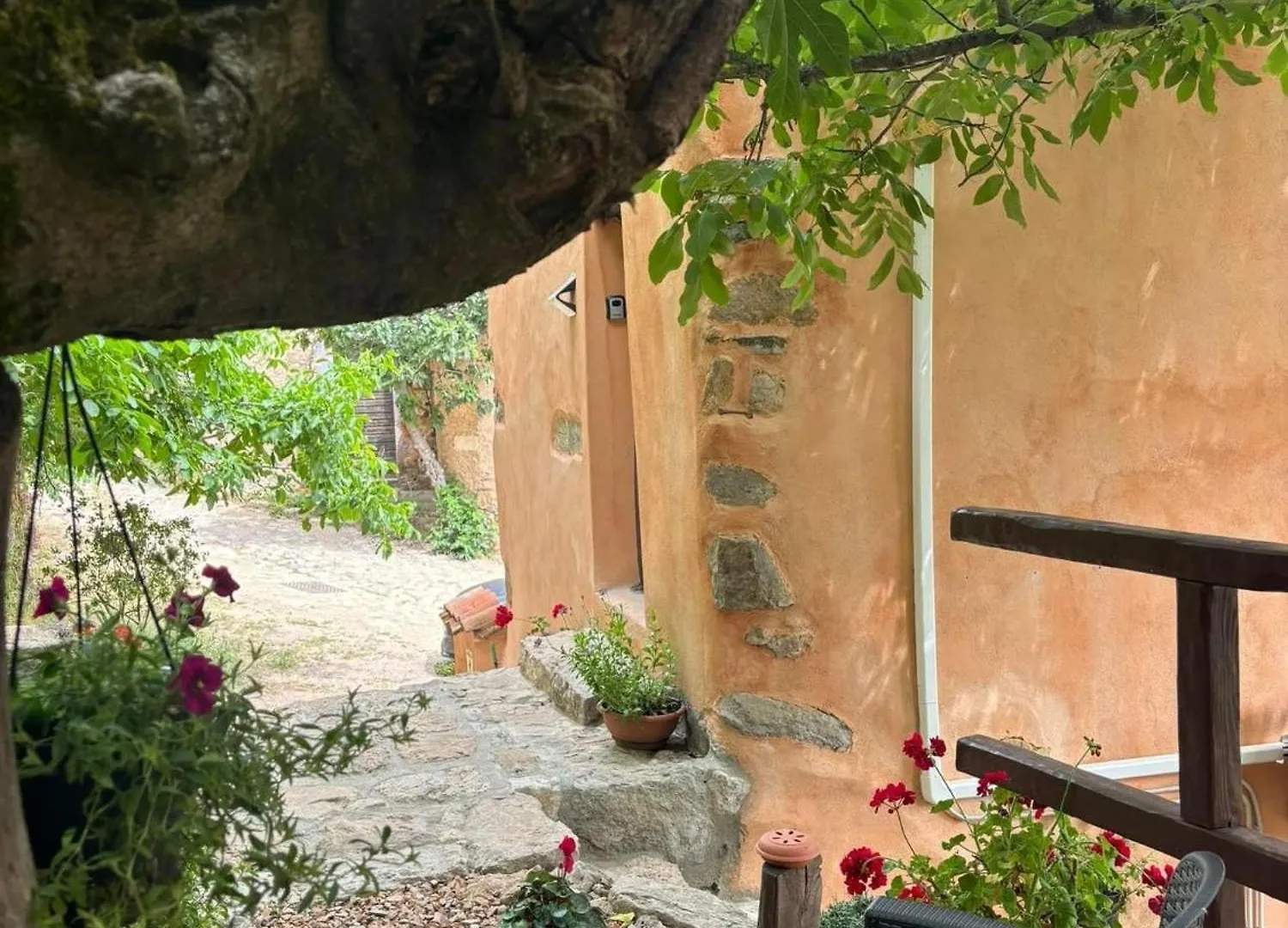 Osini Ecciu Home Bed and Breakfast