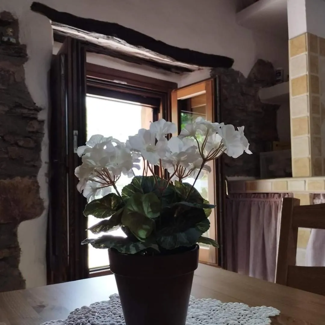 Osini Ecciu Home Bed and Breakfast