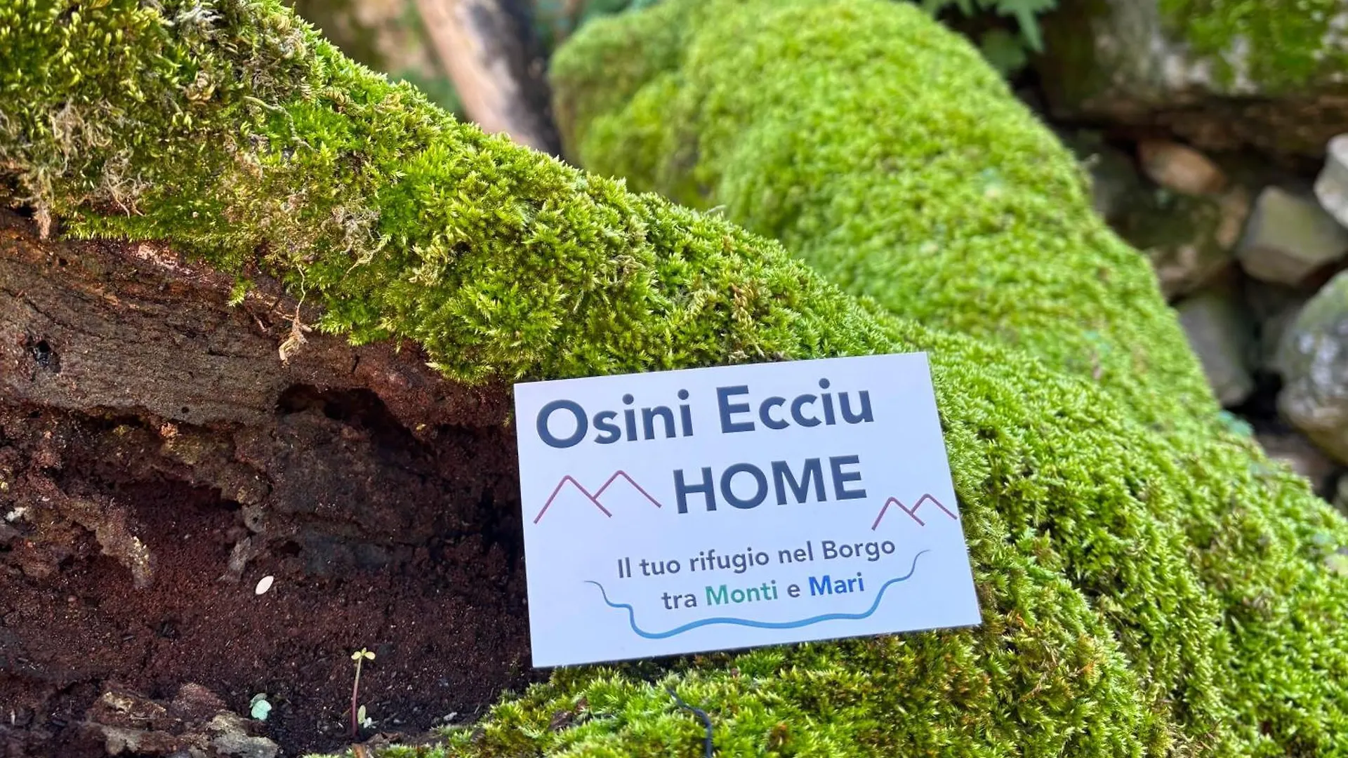 Bed and Breakfast Osini Ecciu Home