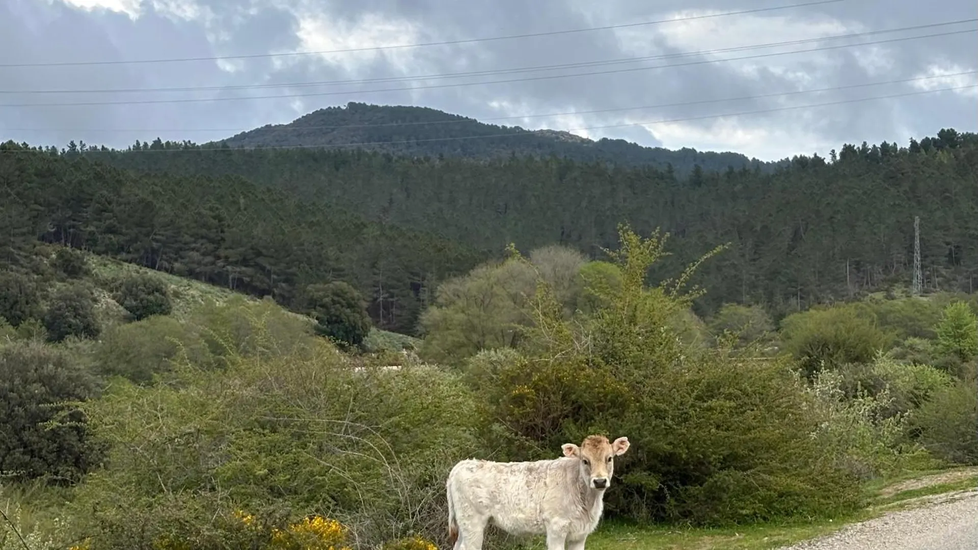 Osini Ecciu Home Bed and Breakfast